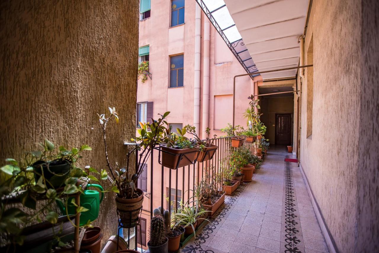 Musei Vaticani Holidays Rom Eksteriør billede